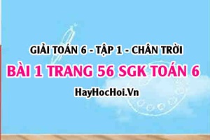 Giải bài 1 trang 56 Toán 6 Tập 1 SGK Chân trời sáng tạo